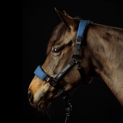 HALTER 1.0 - Arctic Navy
