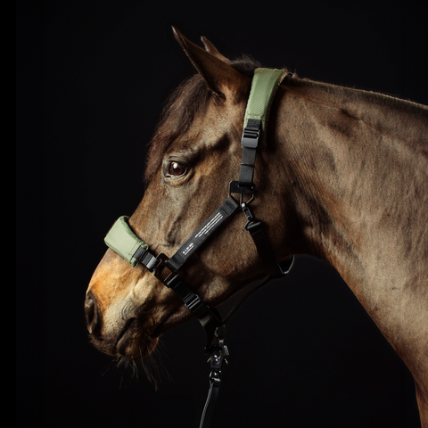 HALTER 1.0 - Nordic Green